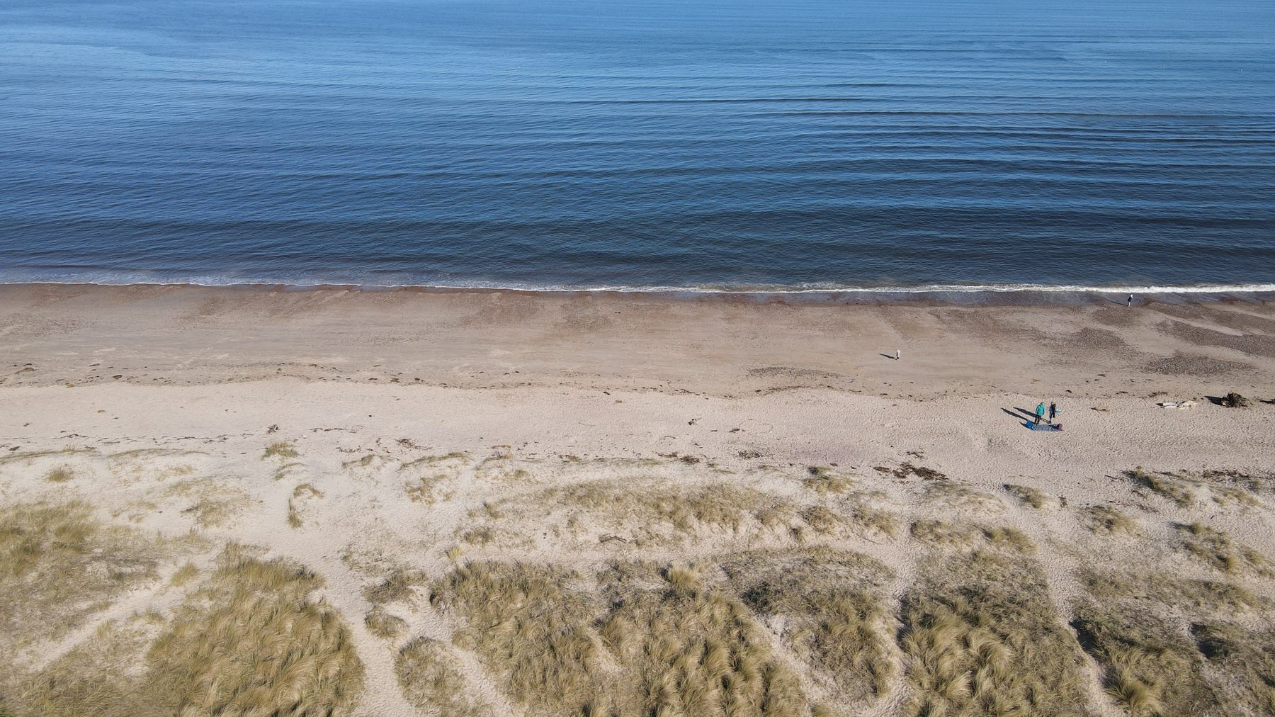 Aerial view of the beach and dunes near Nairn
